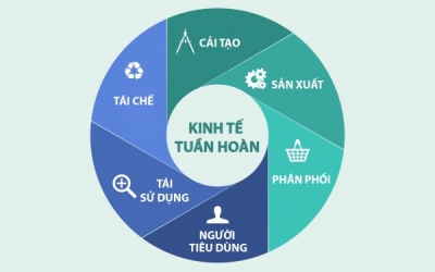 Ngành nhựa hướng đến các tiêu chuẩn tái chế