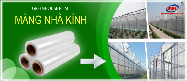 MÀNG NHÀ KÍNH