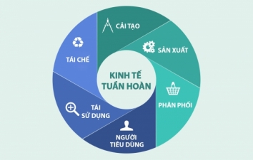 Ngành nhựa hướng đến các tiêu chuẩn tái chế