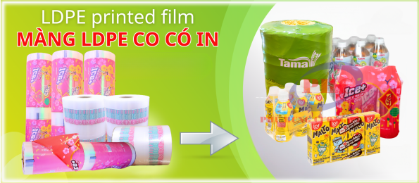 MÀNG LDPE CO CÓ IN