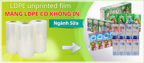 MÀNG LDPE CO KHÔNG IN - NGÀNH SỮA